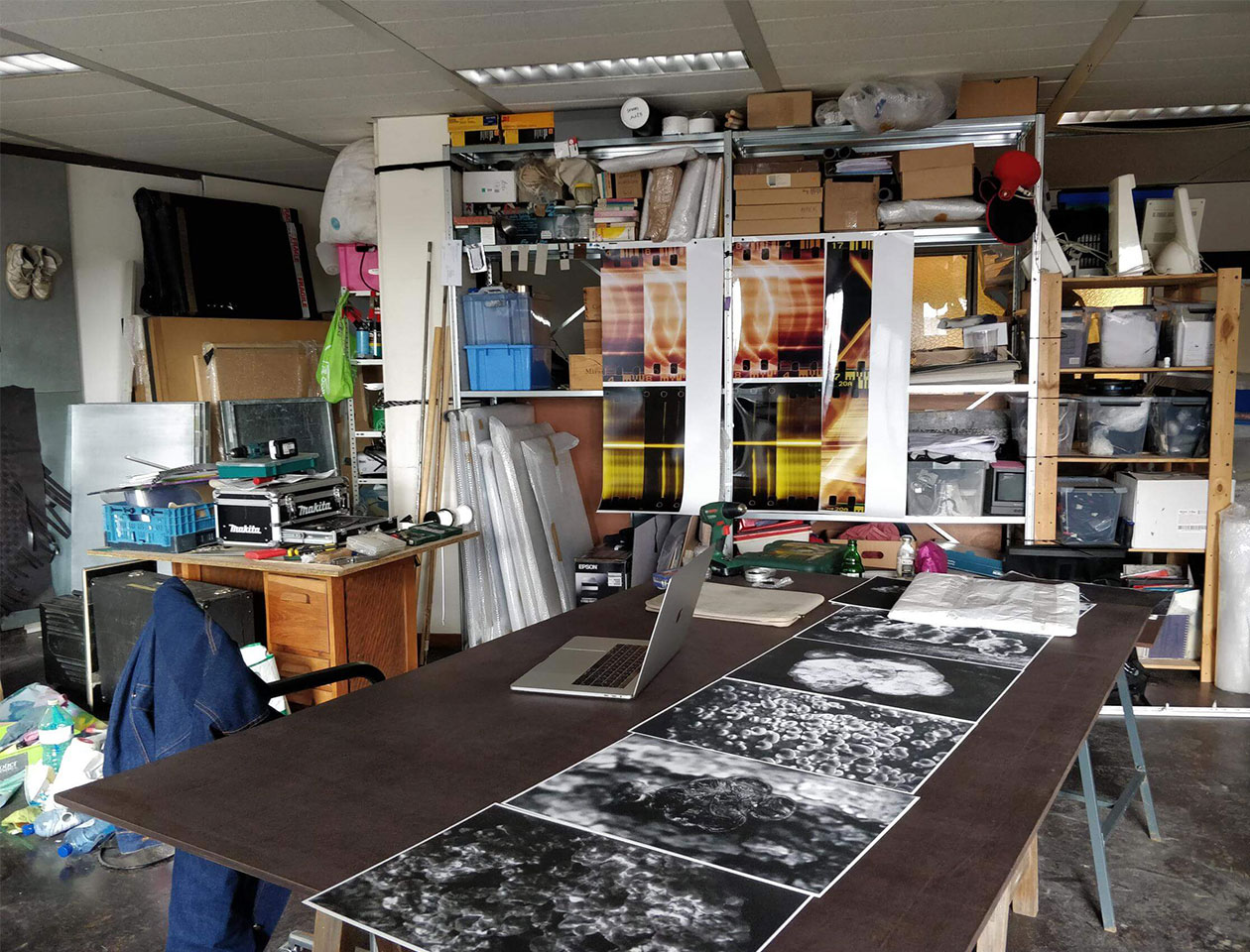 Studio Dries Segers